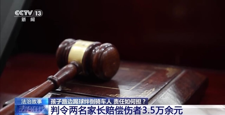 丁蔚, 应承担责任, 能力人